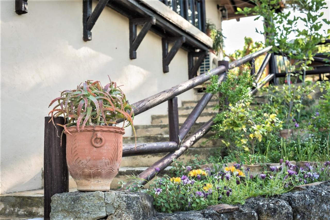 Ampelos Estate Akrata Extérieur photo